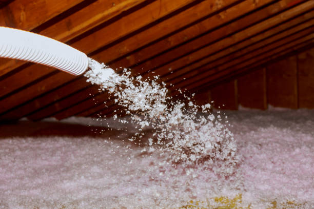 Best Types of Insulation in Darien, WI